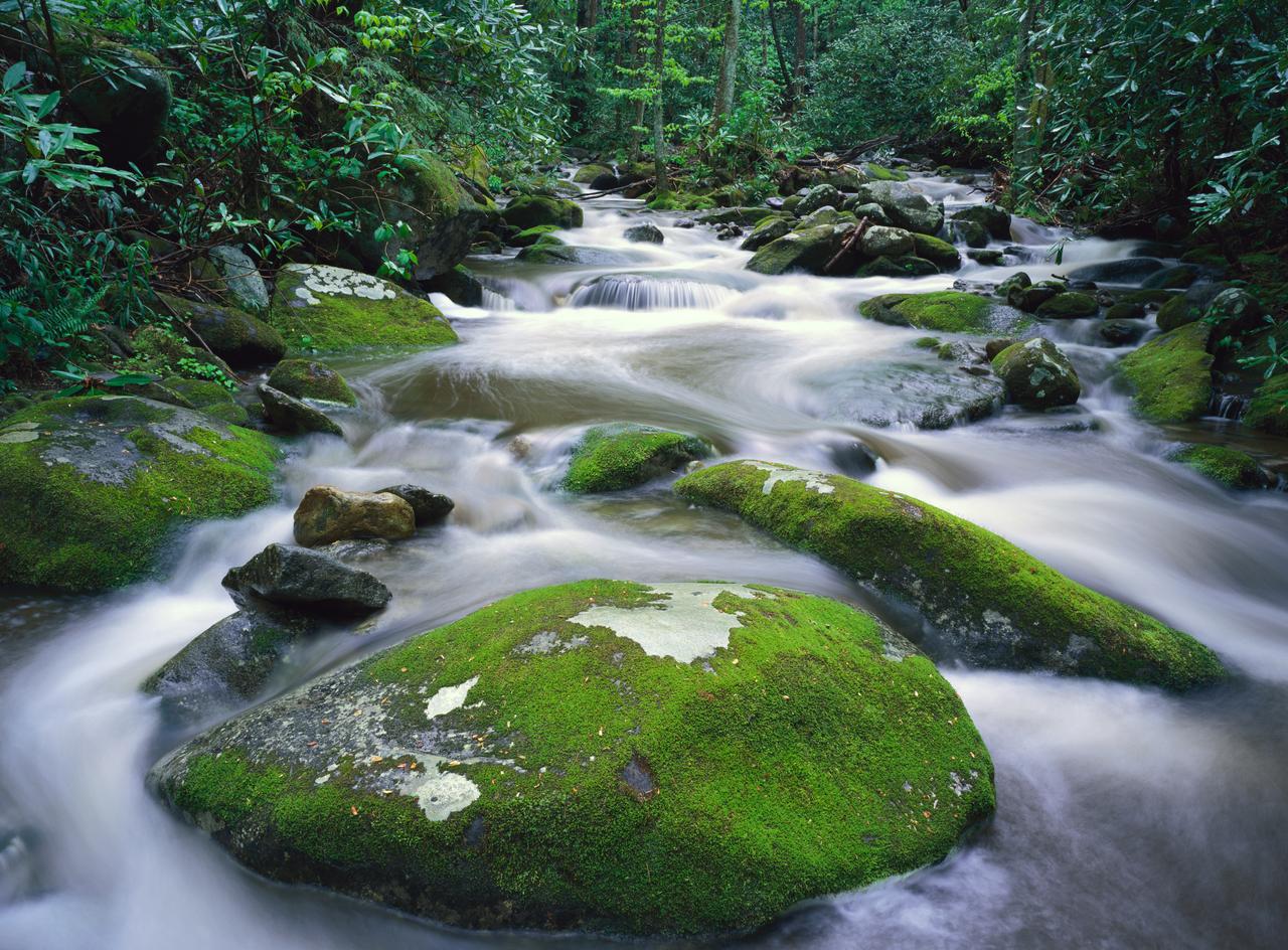 Roaring Fork River