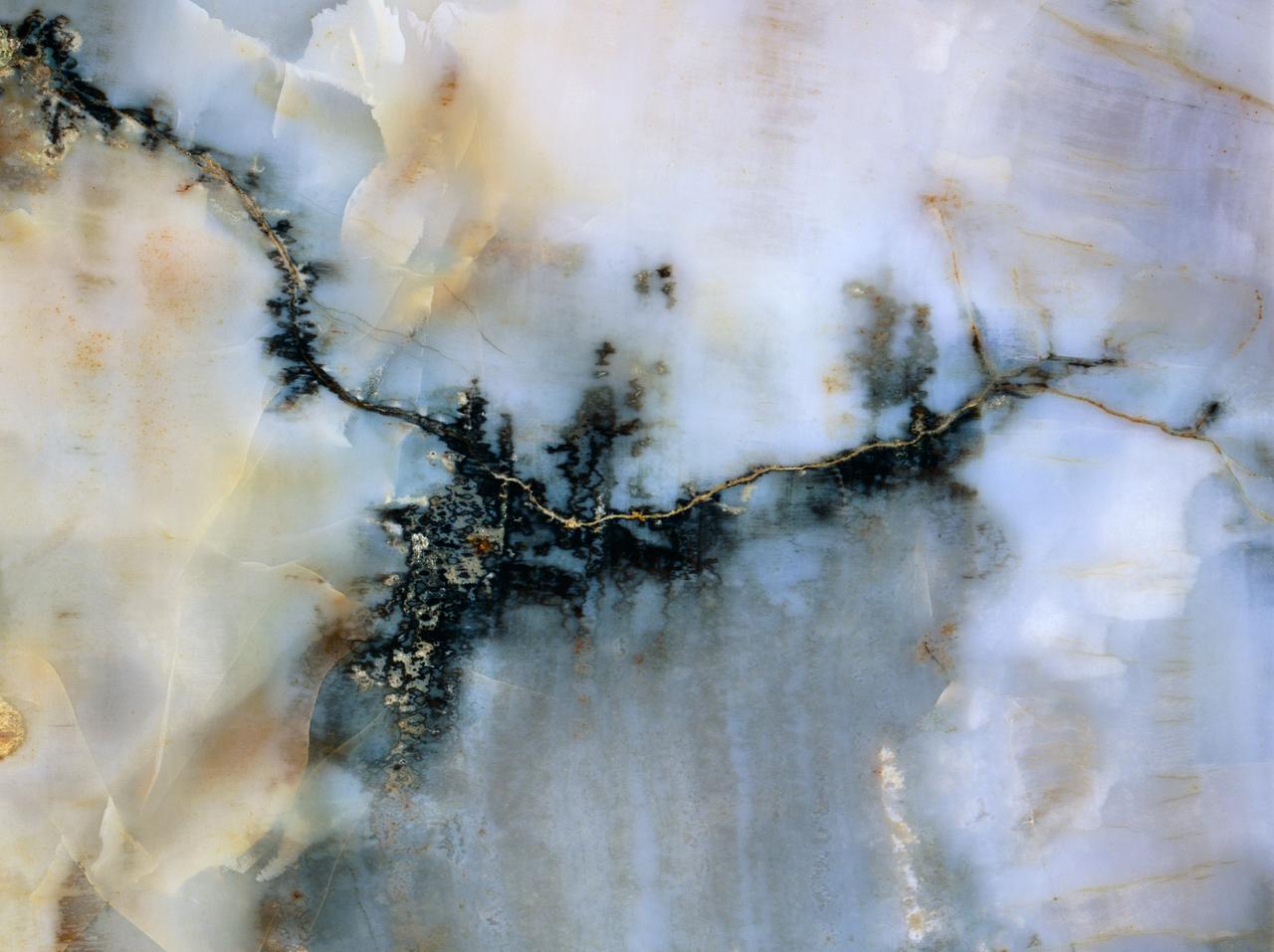 Petrified Wood