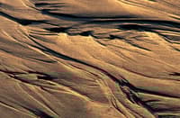 Rivulets in Sand