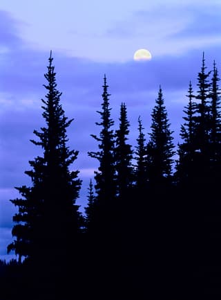 Moonrise at Hurricane Ridge