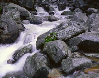 Lichen Boulders and Cascade