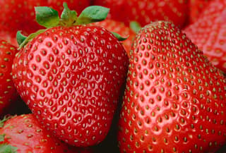 Fresh Strawberries