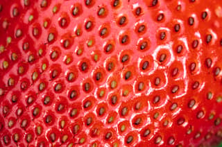 Strawberry Detail